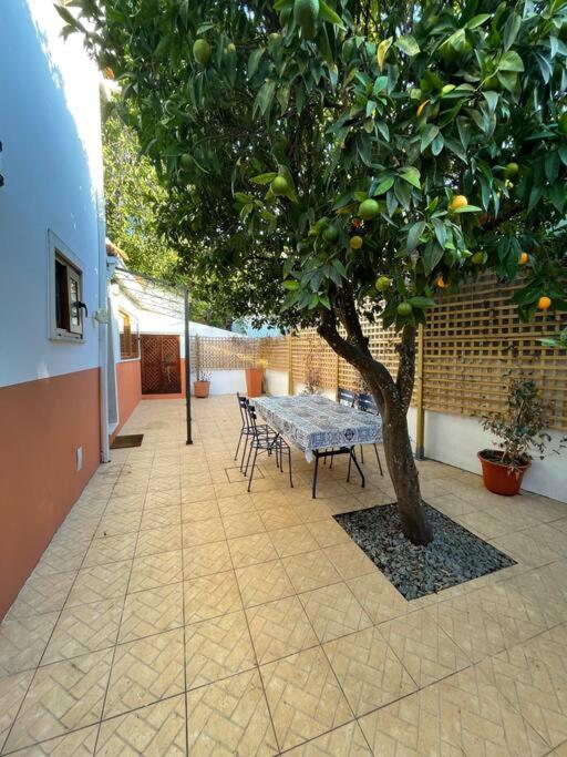 Casa Da Fonte Διαμέρισμα Condeixa-a-Velha Εξωτερικό φωτογραφία